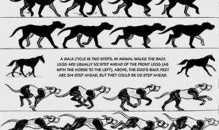 四年级找规律填数字